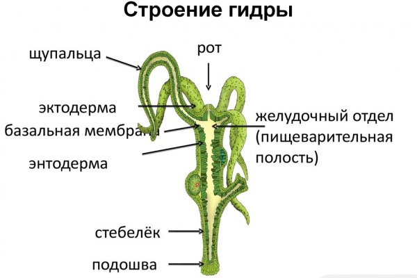 Кракен правила площадки